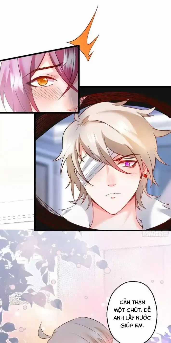 Hắc Đạo Đáng Yêu - Chapter 166 - Trang 7