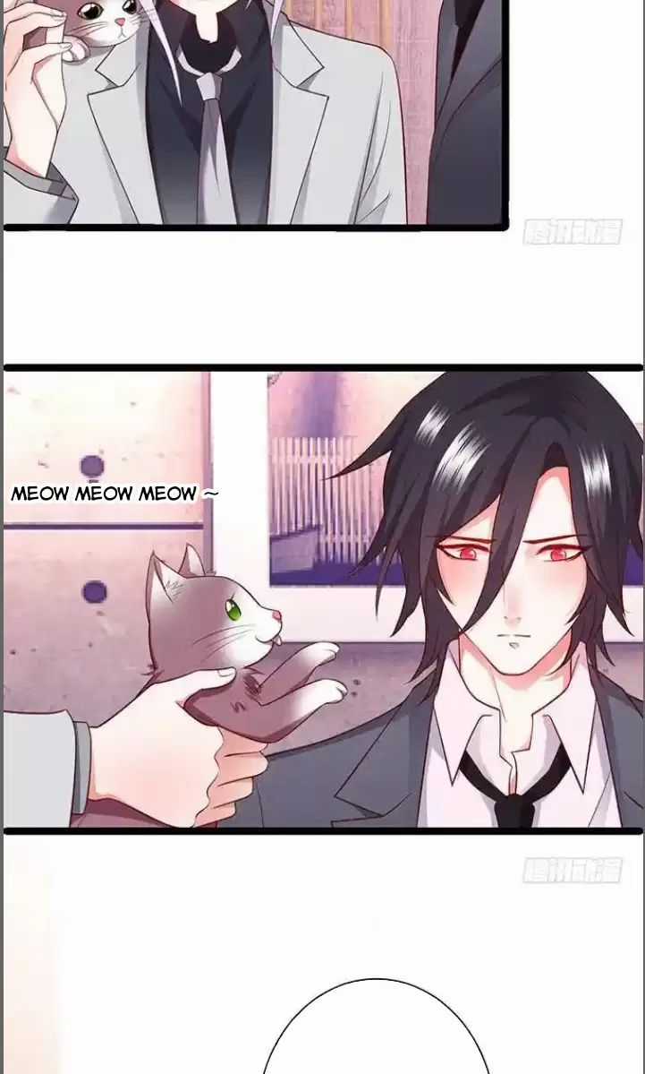 Hắc Đạo Đáng Yêu - Chapter 176 - Trang 15