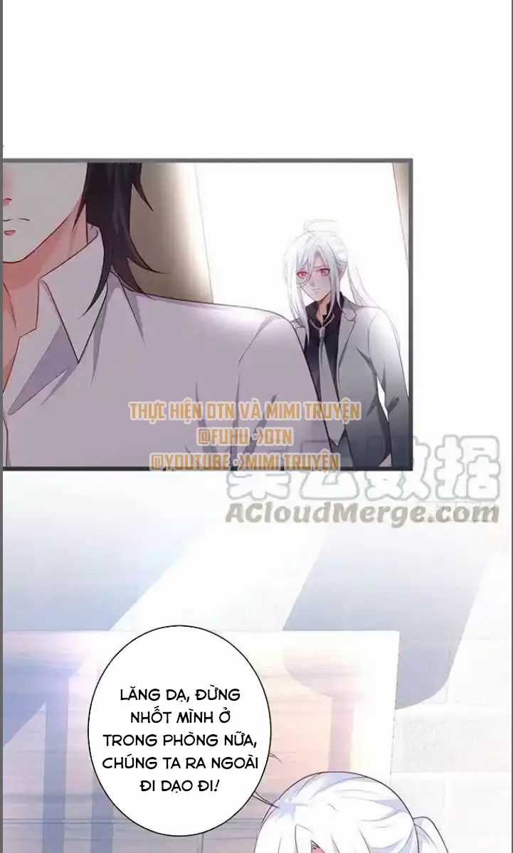 Hắc Đạo Đáng Yêu - Chapter 176 - Trang 3