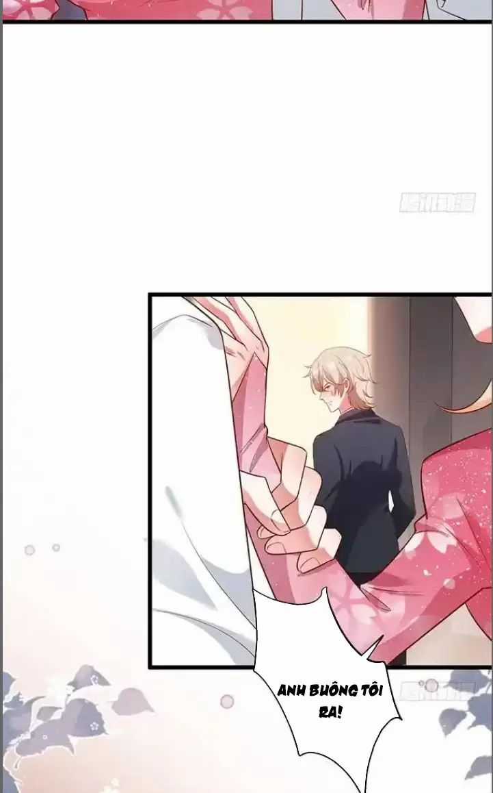 Hắc Đạo Đáng Yêu - Chapter 180 - Trang 43