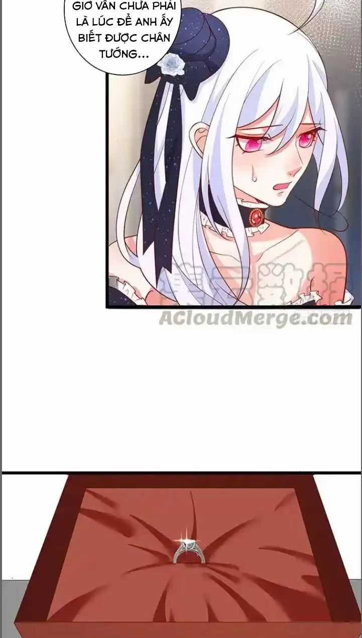 Hắc Đạo Đáng Yêu - Chapter 182 - Trang 24