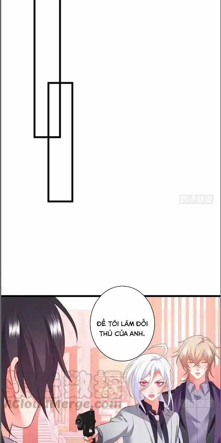 Hắc Đạo Đáng Yêu - Chapter 184 - Trang 17