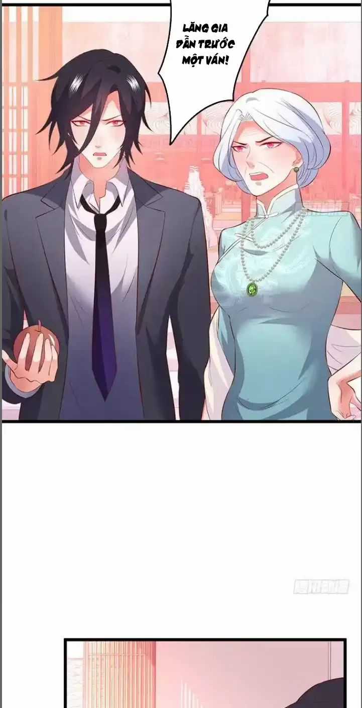 Hắc Đạo Đáng Yêu - Chapter 184 - Trang 33