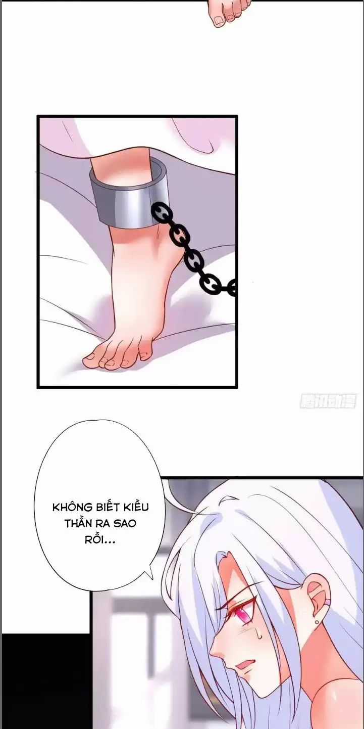 Hắc Đạo Đáng Yêu - Chapter 209 - Trang 4