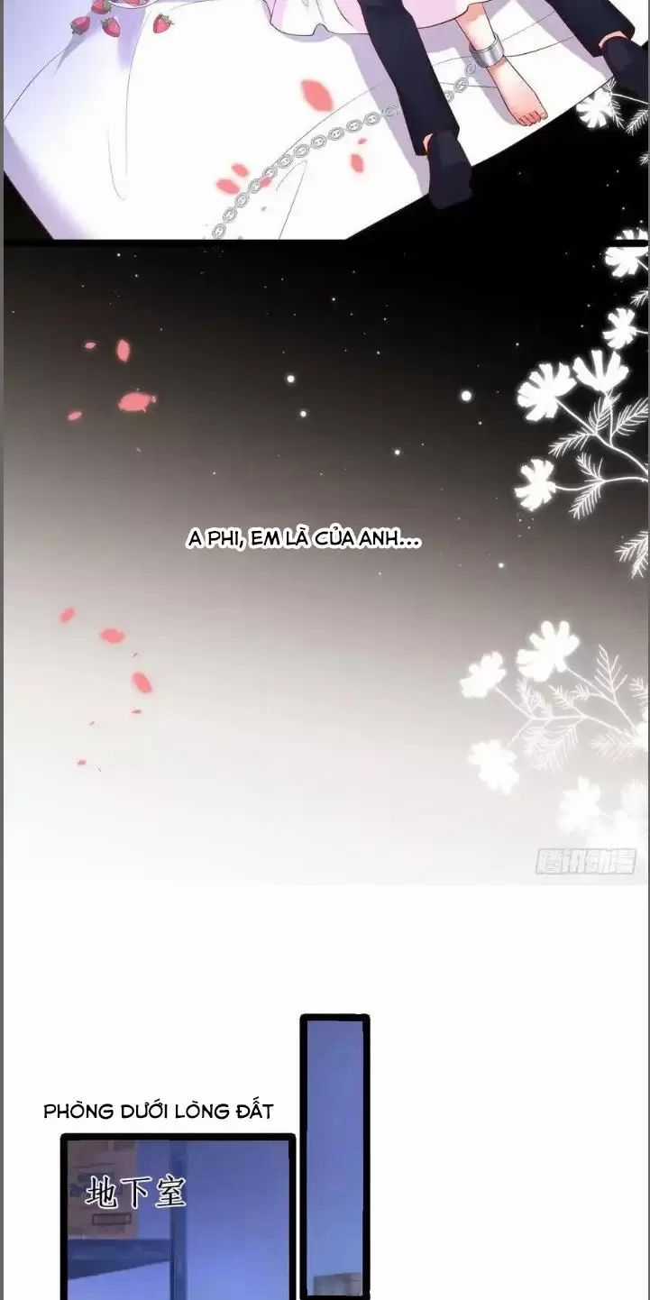 Hắc Đạo Đáng Yêu - Chapter 209 - Trang 31