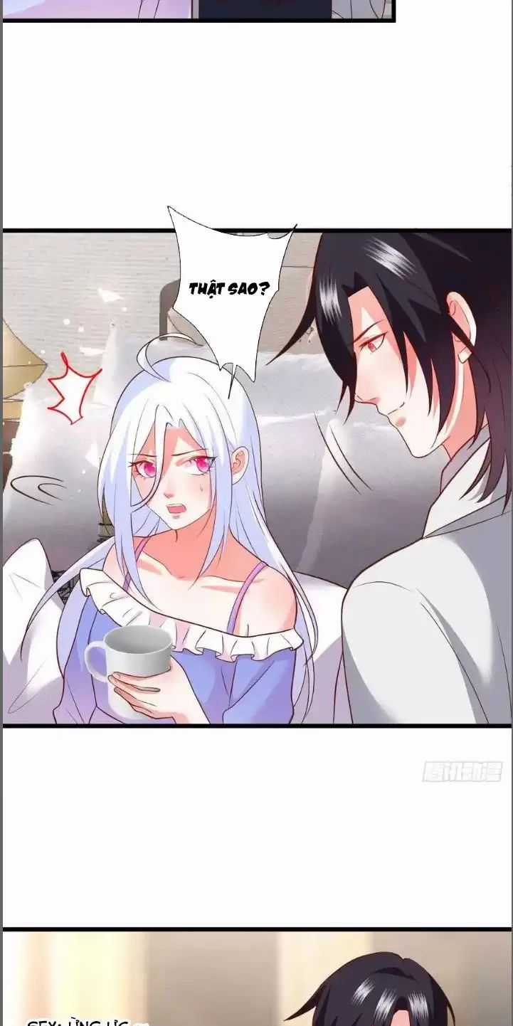 Hắc Đạo Đáng Yêu - Chapter 210 - Trang 7