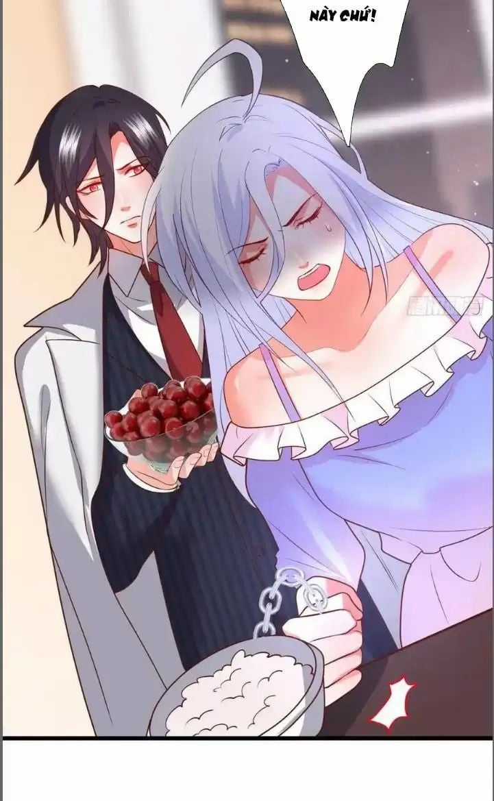 Hắc Đạo Đáng Yêu - Chapter 211 - Trang 36