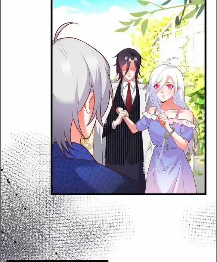 Hắc Đạo Đáng Yêu - Chapter 211 - Trang 5