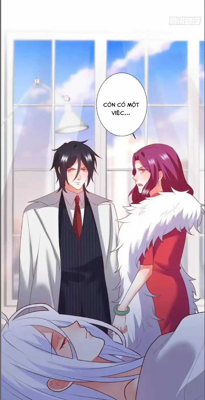 Hắc Đạo Đáng Yêu - Chapter 213 - Trang 31