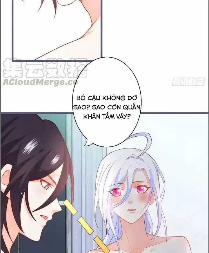 Hắc Đạo Đáng Yêu - Chapter 232 - Trang 20