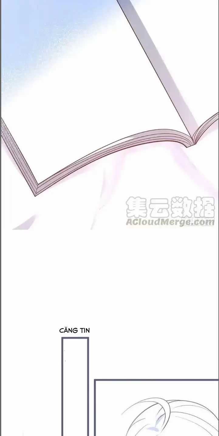 Hắc Đạo Đáng Yêu - Chapter 232 - Trang 29