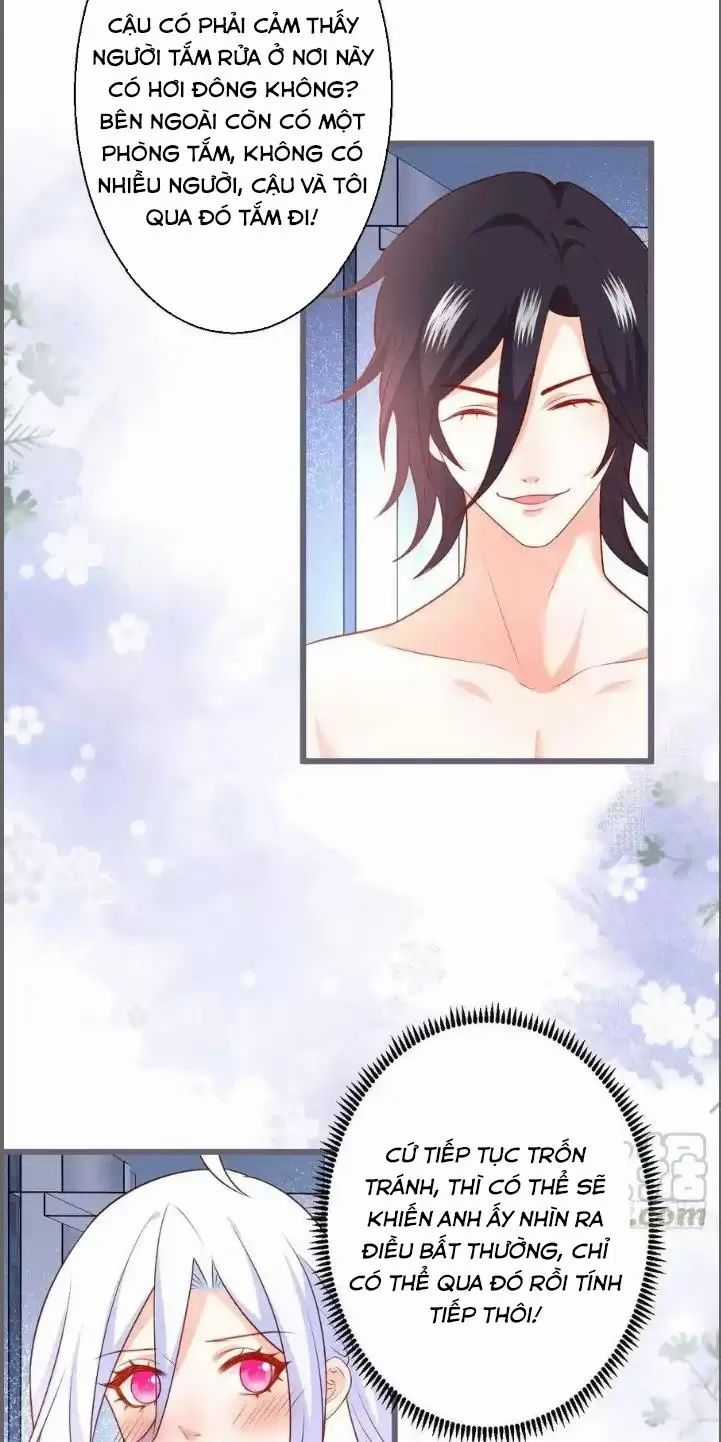Hắc Đạo Đáng Yêu - Chapter 232 - Trang 7