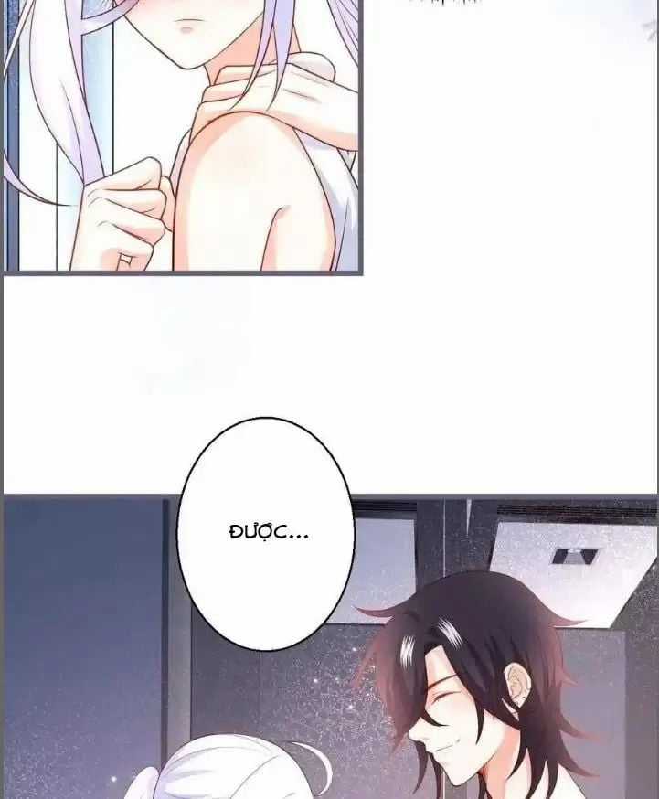 Hắc Đạo Đáng Yêu - Chapter 232 - Trang 8