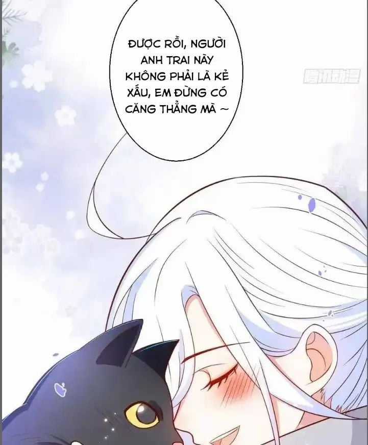 Hắc Đạo Đáng Yêu - Chapter 235 - Trang 8