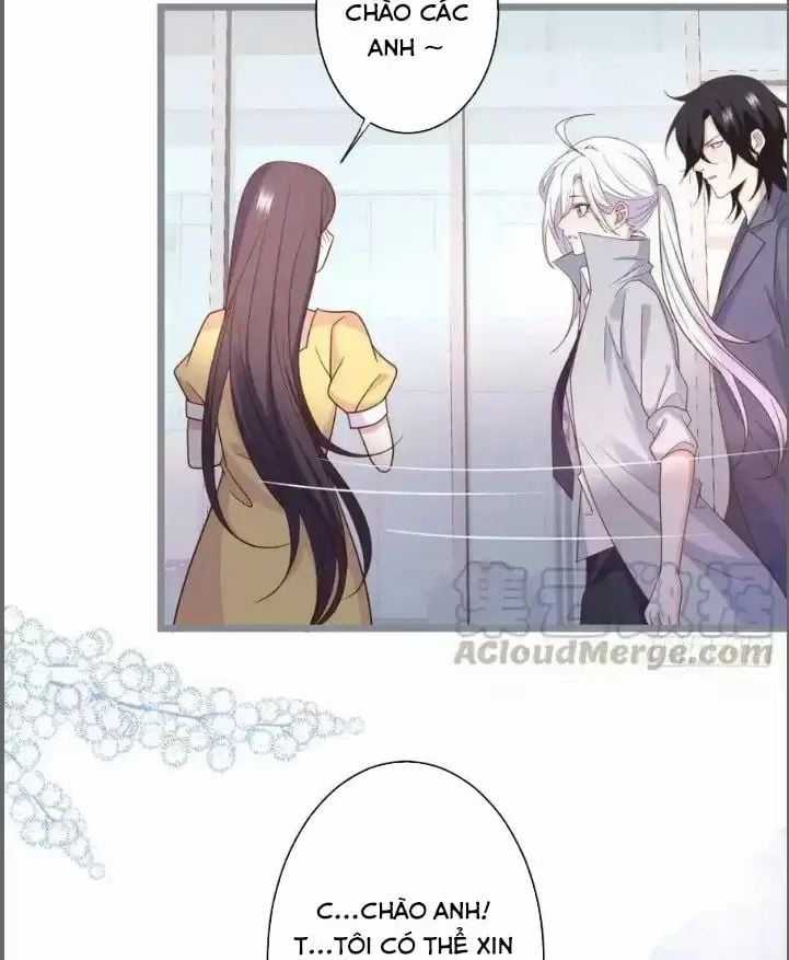 Hắc Đạo Đáng Yêu - Chapter 238 - Trang 17