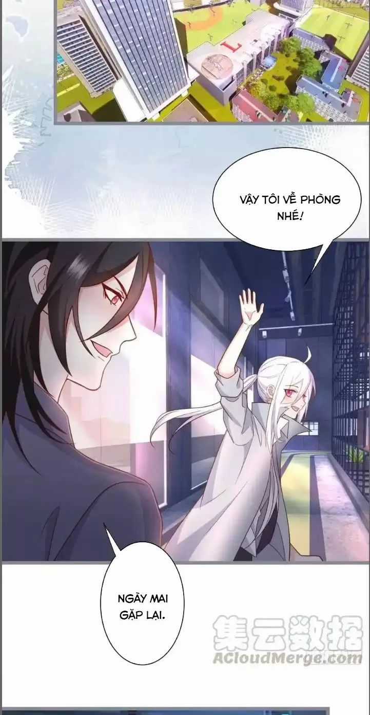 Hắc Đạo Đáng Yêu - Chapter 238 - Trang 26