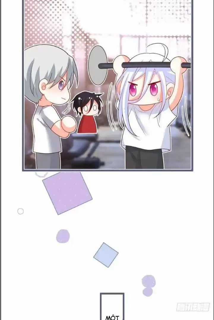 Hắc Đạo Đáng Yêu - Chapter 239 - Trang 38