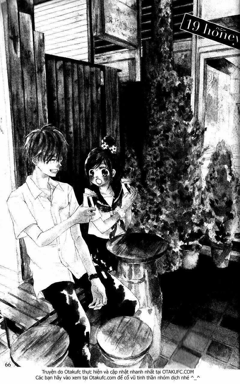 Hachimitsu Ni Hatsukoi - Chapter 19 - Trang 1