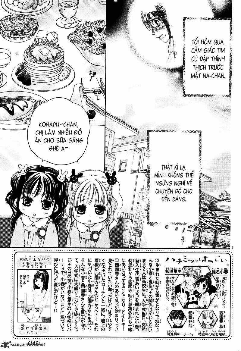 Hachimitsu Ni Hatsukoi - Chapter 2 - Trang 4