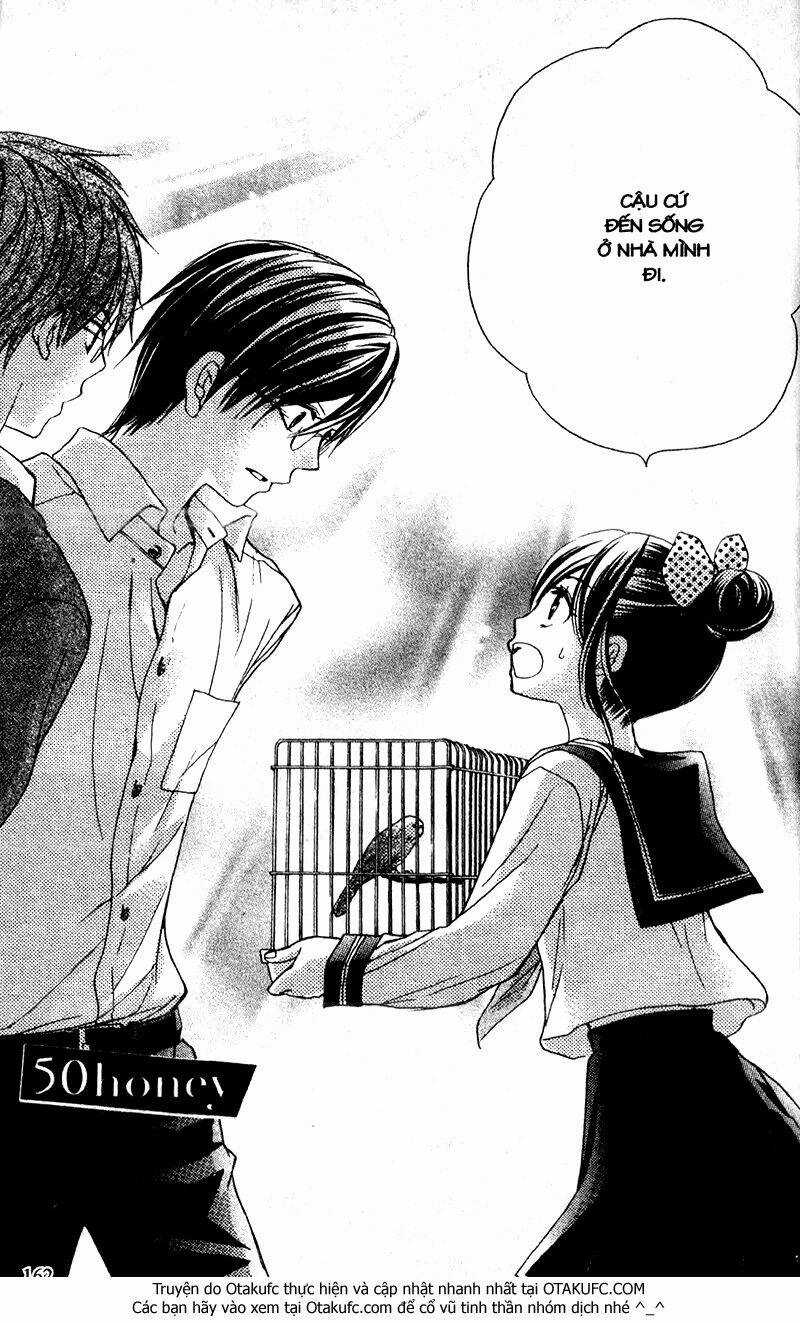 Hachimitsu Ni Hatsukoi - Chapter 50 - Trang 3
