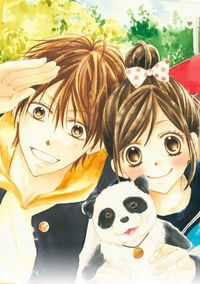 Đọc truyện Hachimitsu Ni Hatsukoi