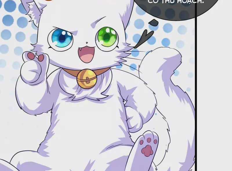 Hài Đế Vi Tôn - Chapter 175 - Trang 14