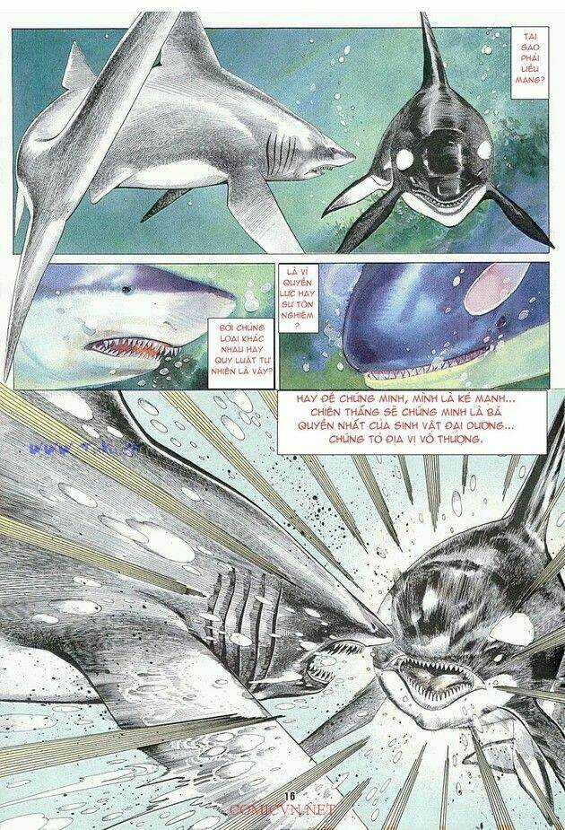 Hải Hổ 1 - Chapter 4 - Trang 15