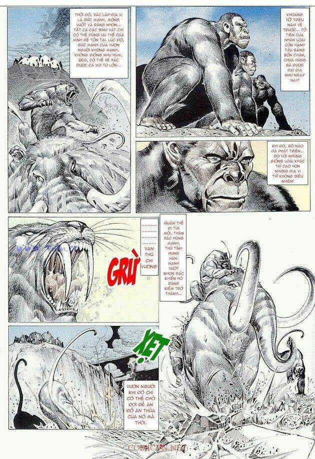 Hải Hổ 1 - Chapter 5 - Trang 2