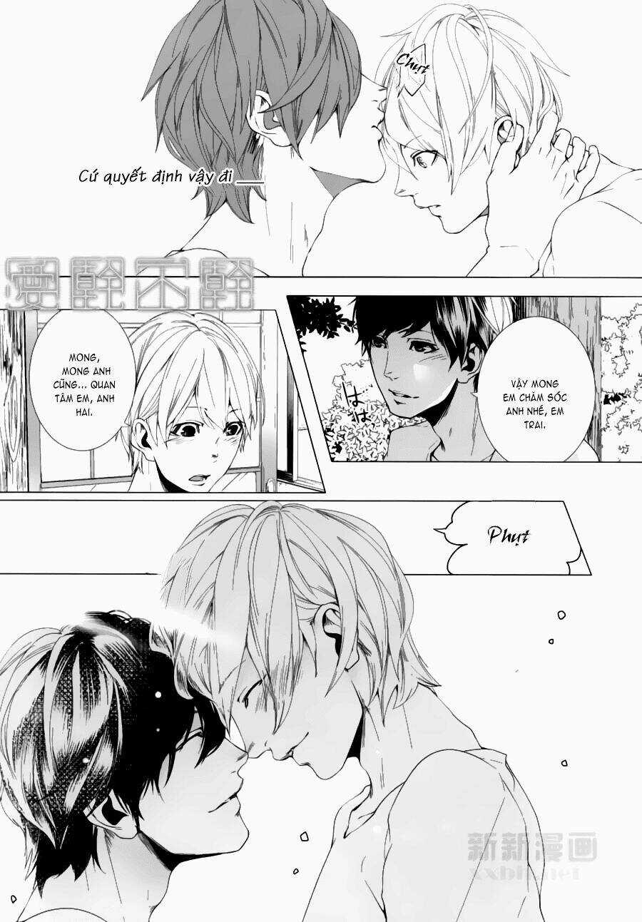 Haikei, Niisan Sama - Chapter 10 - Trang 18