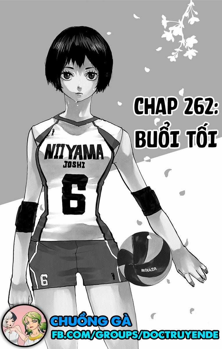 Haikyuu - Chapter 246 - Trang 1