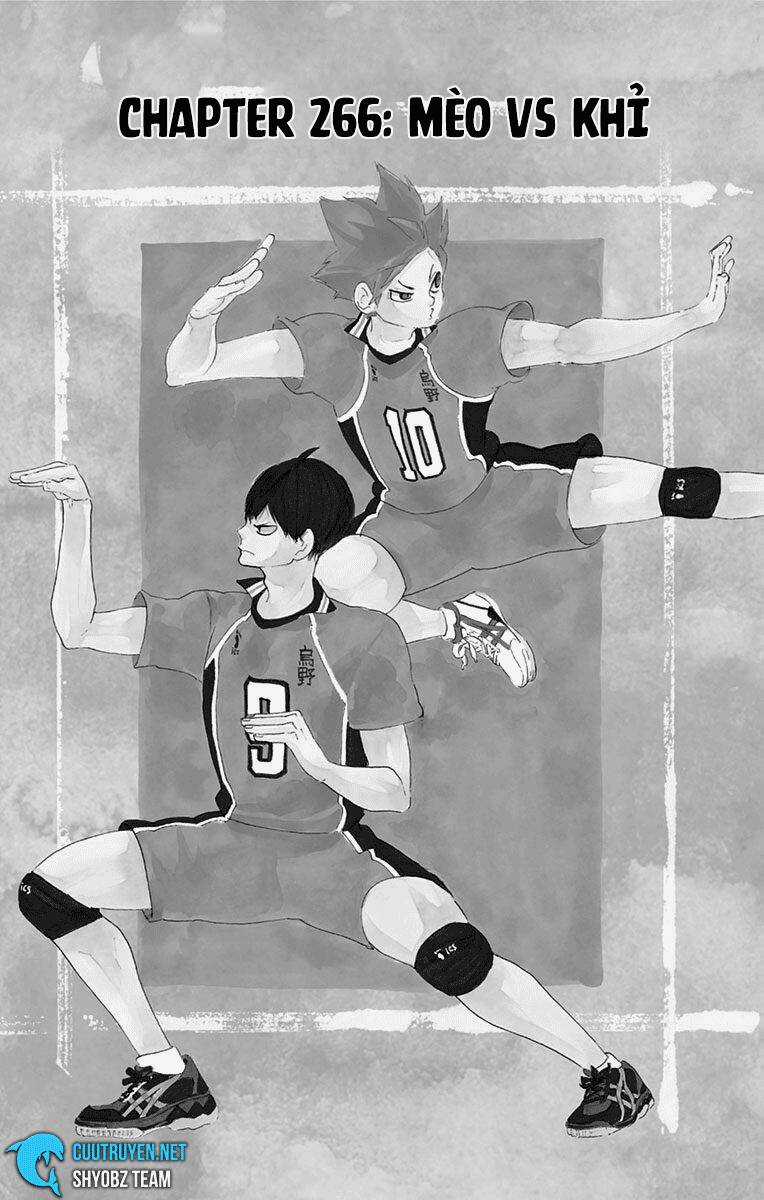 Haikyuu - Chapter 266 - Trang 2