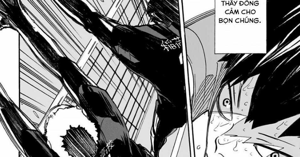 Haikyuu - Chapter 288 - Trang 33