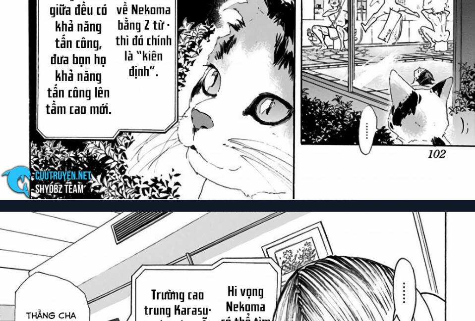 Haikyuu - Chapter 292 - Trang 31
