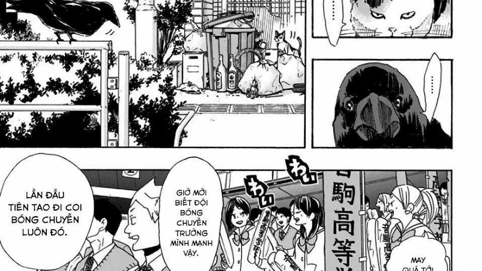 Haikyuu - Chapter 294 - Trang 4