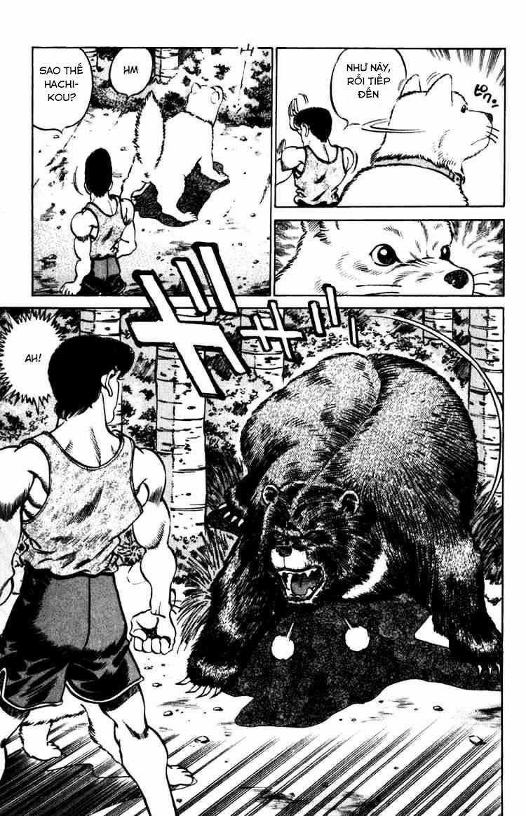 Hajime No Ippo - Chapter 229 - Trang 17