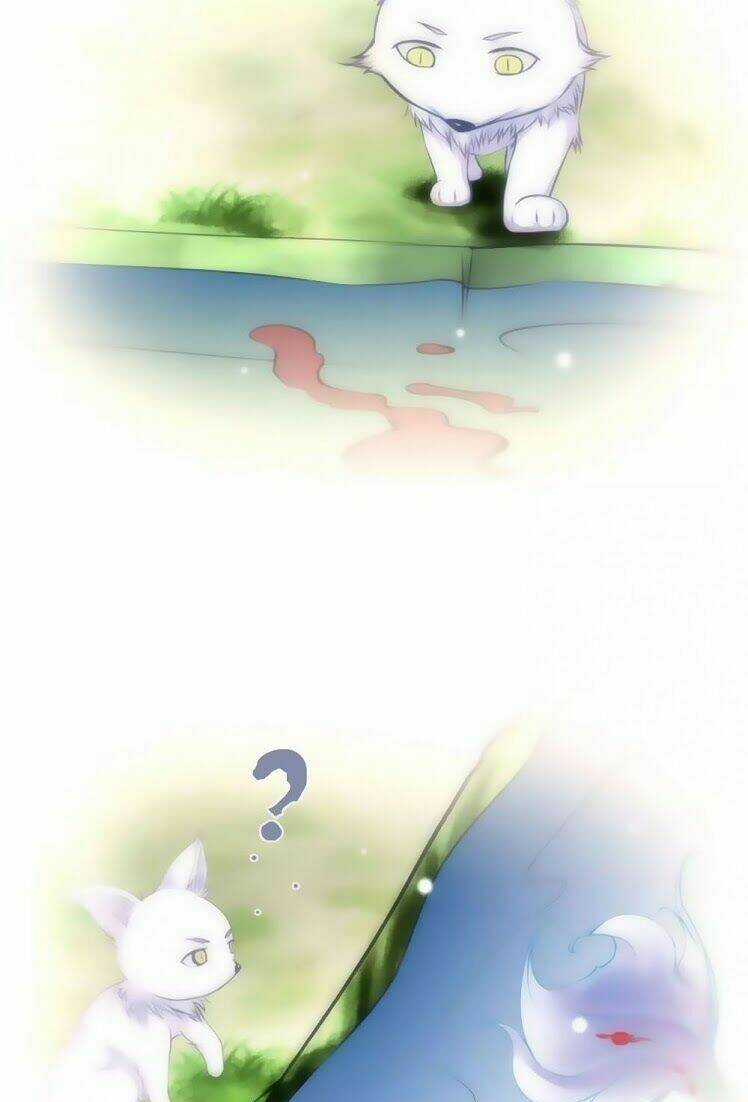 Hắn Ta Là Vua - Chapter 31 - Trang 11