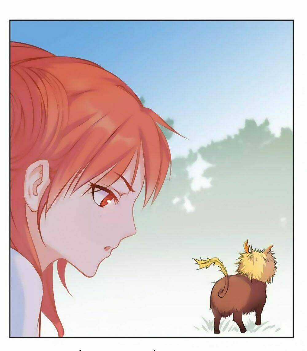 Hắn Ta Là Vua - Chapter 41 - Trang 19