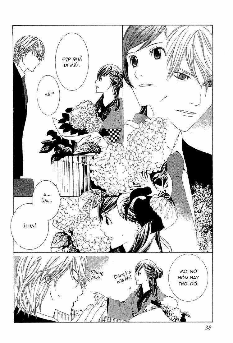 Hanamai Koeda De Aimashou - Chapter 1 - Trang 33