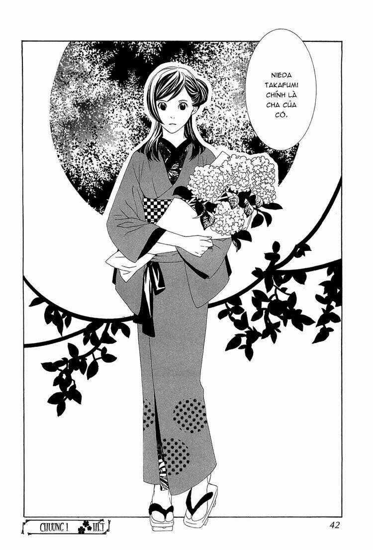 Hanamai Koeda De Aimashou - Chapter 1 - Trang 37