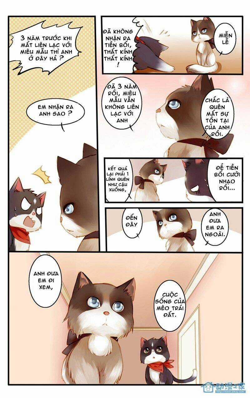 Hằng Mộng Nam Thần - Chapter 22 - Trang 13