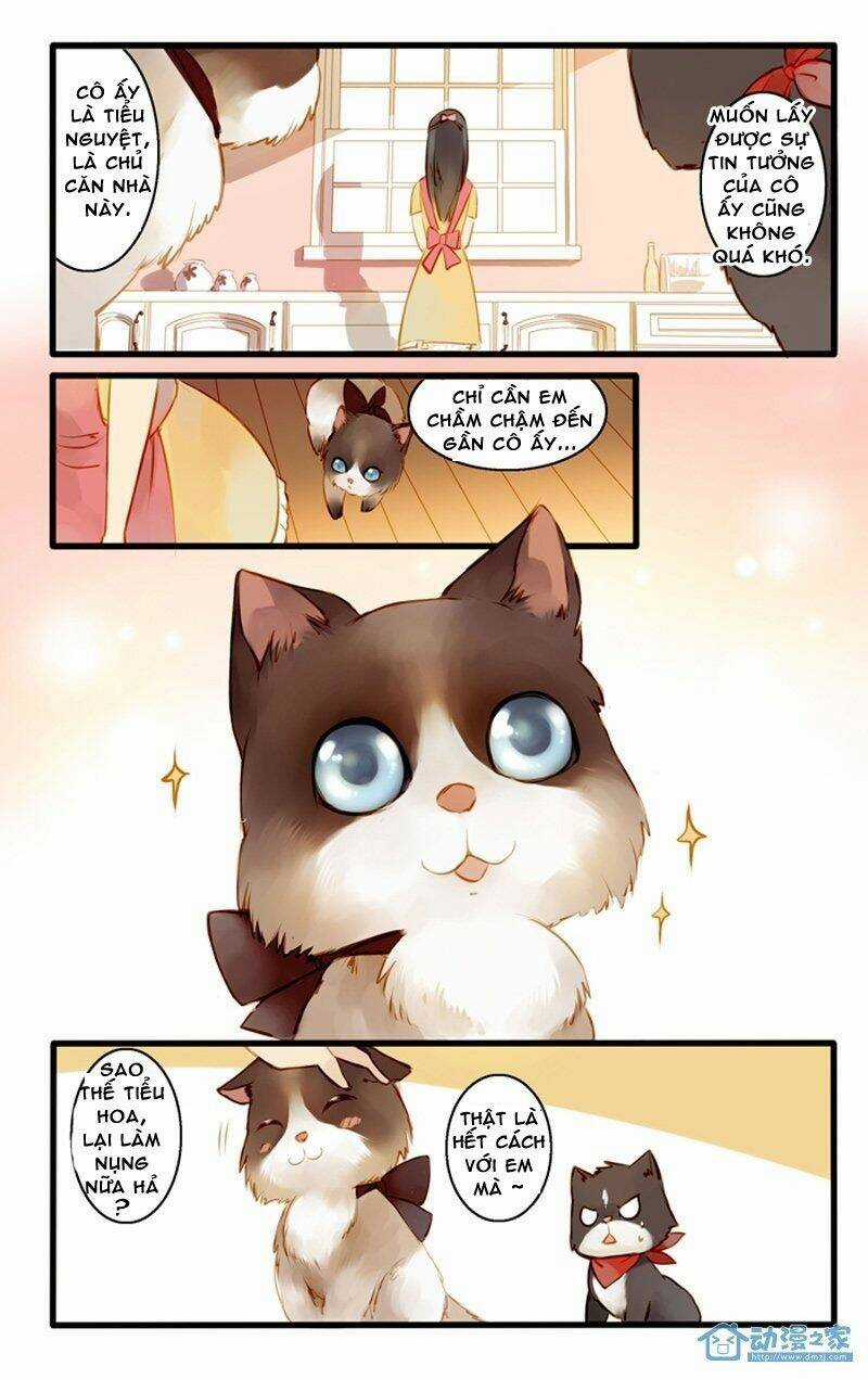 Hằng Mộng Nam Thần - Chapter 22 - Trang 15