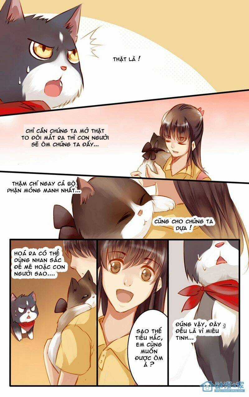 Hằng Mộng Nam Thần - Chapter 22 - Trang 16