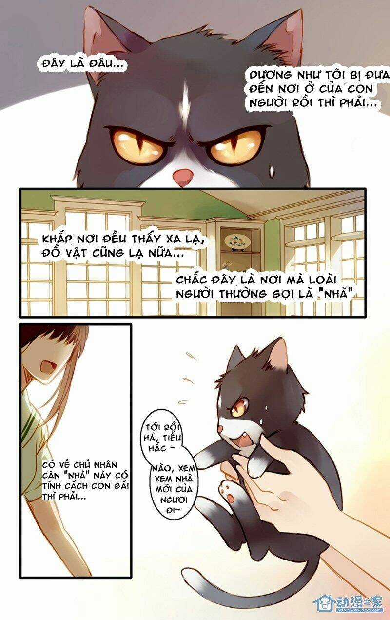 Hằng Mộng Nam Thần - Chapter 22 - Trang 3