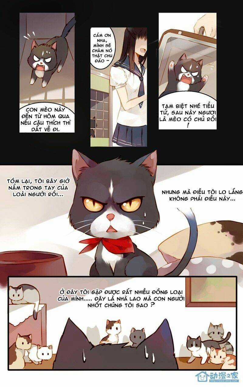 Hằng Mộng Nam Thần - Chapter 22 - Trang 6