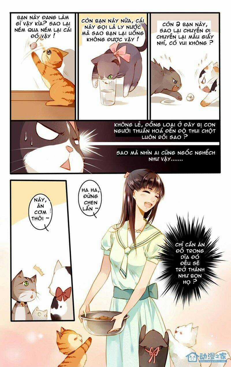 Hằng Mộng Nam Thần - Chapter 22 - Trang 7