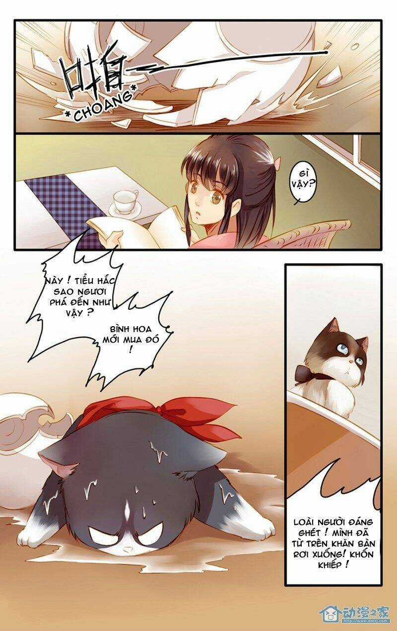 Hằng Mộng Nam Thần - Chapter 22 - Trang 10