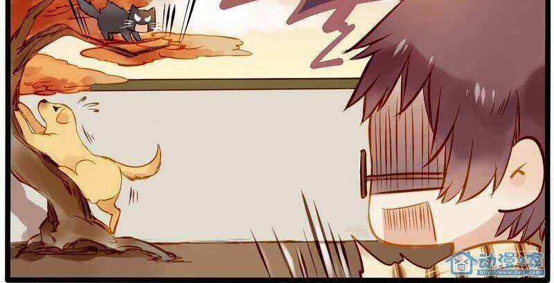 Hằng Mộng Nam Thần - Chapter 7 - Trang 19