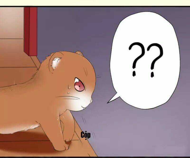 Hành Trình Sủng Đế Cơ - Chapter 2 - Trang 15