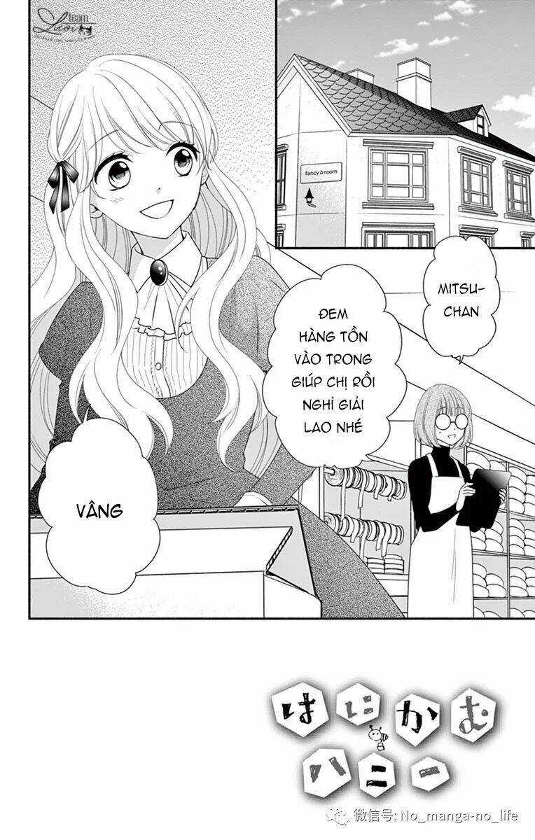 Hanikamu Honey - Chapter 33 - Trang 3