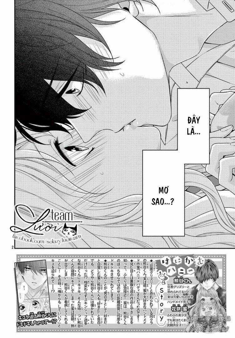 Hanikamu Honey - Chapter 8 - Trang 4